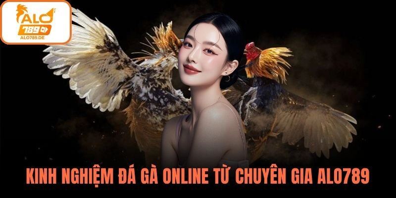 Kinh Nghiệm Đá Gà Online – Bí Quyết Thắng Lớn Mỗi Trận Tại ALO789 2 Những kinh nghiệm đá gà online luôn thắng từ chuyên gia ALO789