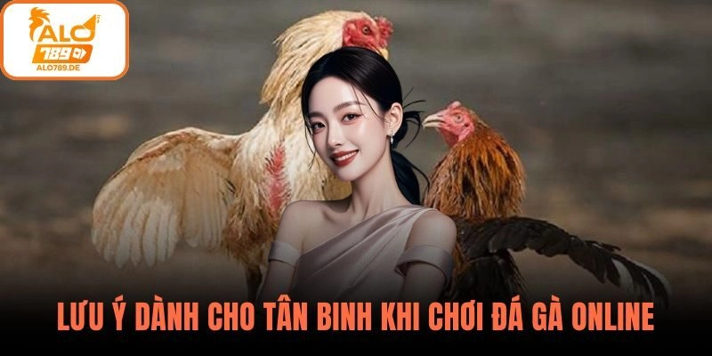 Kinh Nghiệm Đá Gà Online – Bí Quyết Thắng Lớn Mỗi Trận Tại ALO789 3 Một số lưu ý dành cho tân binh khi chơi đá gà online